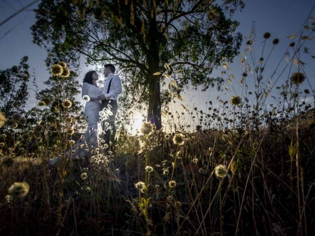 Fotograf&iacute;as de Bodas